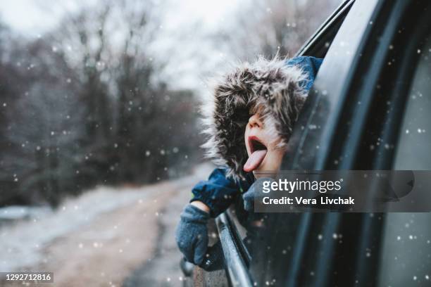 boy on a road trip. the little boy is looking from the car window in winter , opened his mouth and pulled out his tongue, catches snowflakes - snow stock-fotos und bilder