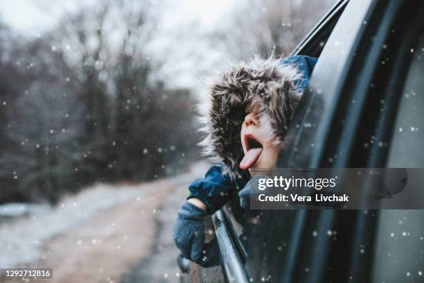 boy on a road trip. the little boy is looking from the car window in winter , opened his mouth and pulled out his tongue, catches snowflakes - children christmas ストックフォトと画像