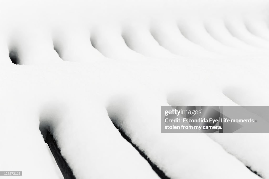 White lines