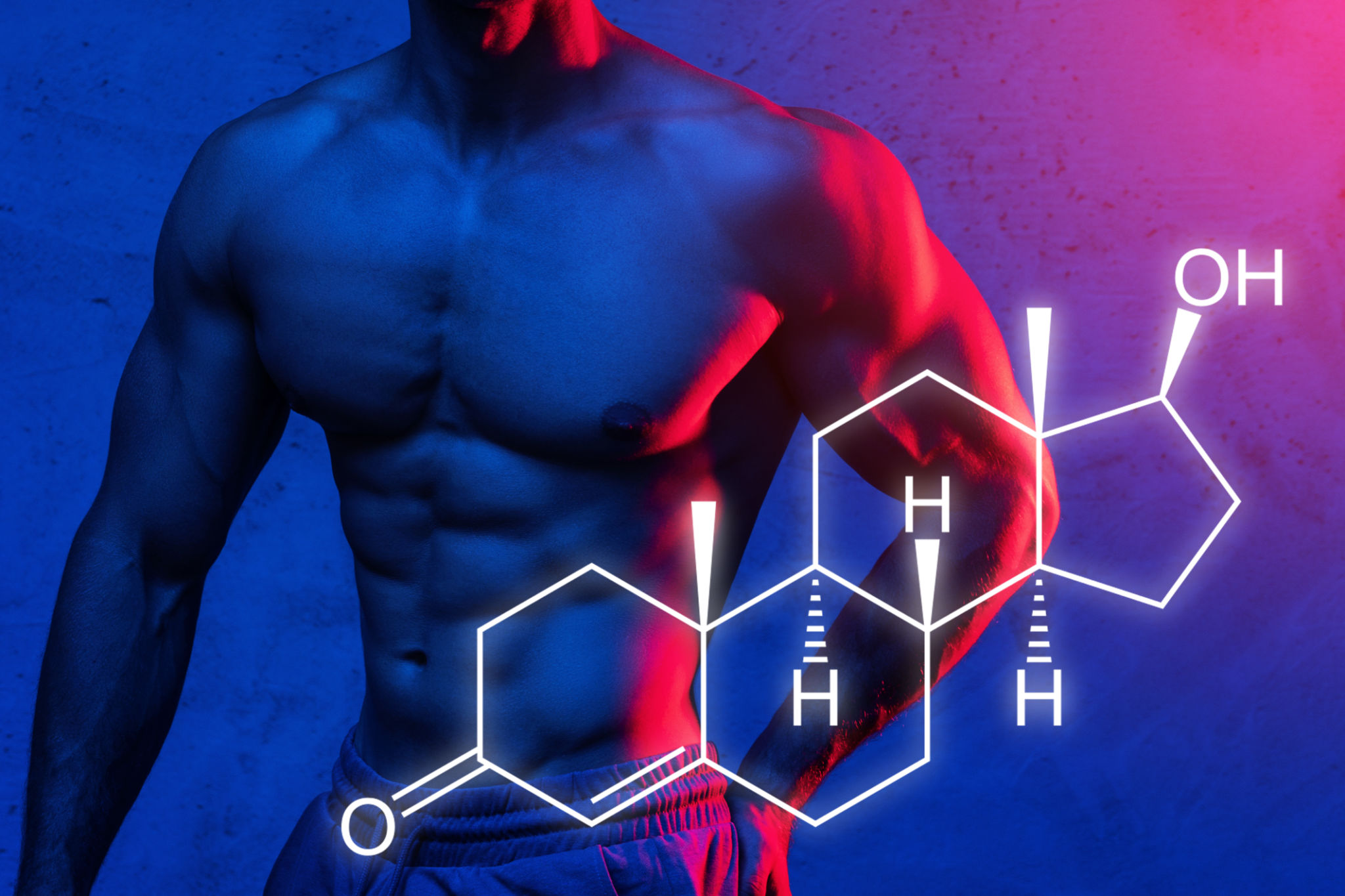 muscle gain