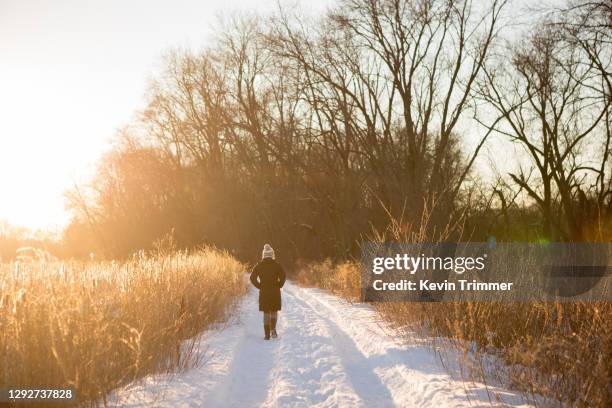 woman walking on snowy road through marsh - smeltende sneeuw stockfoto's en -beelden