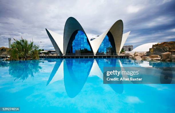 aquarium reflected - ciutat de les arts i les ciències stock pictures, royalty-free photos & images