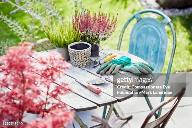 gardening equipment on wooden table - gardening glove stock pictures, royalty-free photos & images