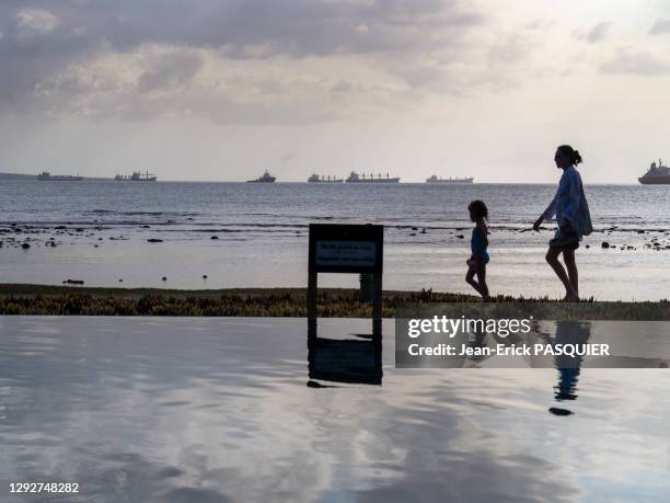 Cargos au large, silhouettes d'une femme et d'un enfant sur la plage, 7 décembre 2011, Ile Maurice.