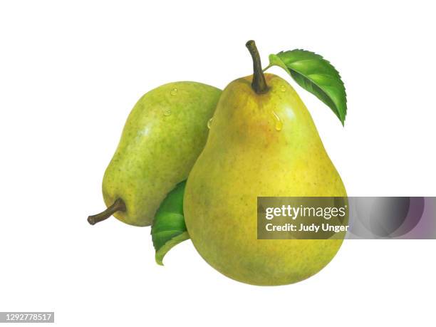 pear bartlett - two objects stock illustrations