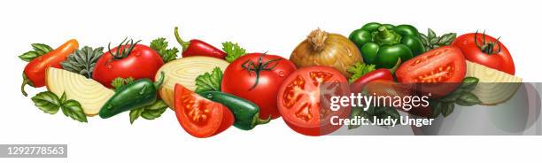 salsa vegetables - cilantro plant stock illustrations