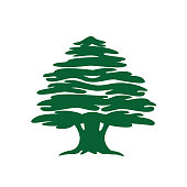 Abstract cedar tree icon