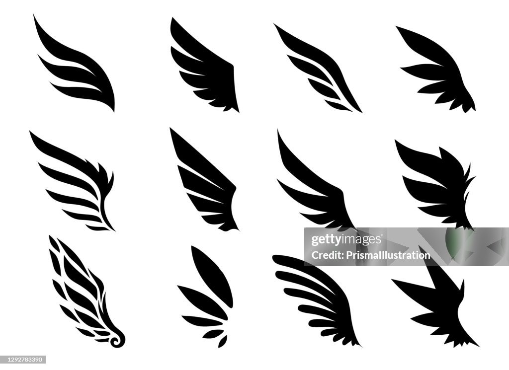 Wing Collection