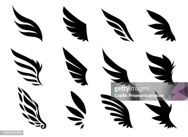 wing collection - vogel stock-grafiken, -clipart, -cartoons und -symbole