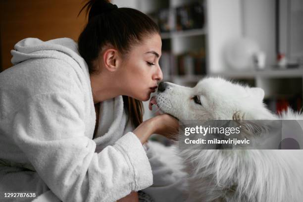 girl enjoying with her dog at home - samoyed stock pictures, royalty-free photos & images