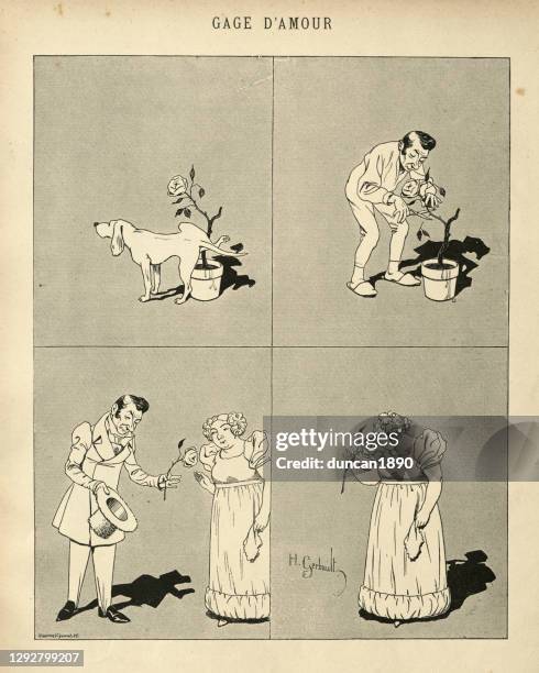 pledge of love, the watering of a rose, french victorian cartoon - satire stock illustrations