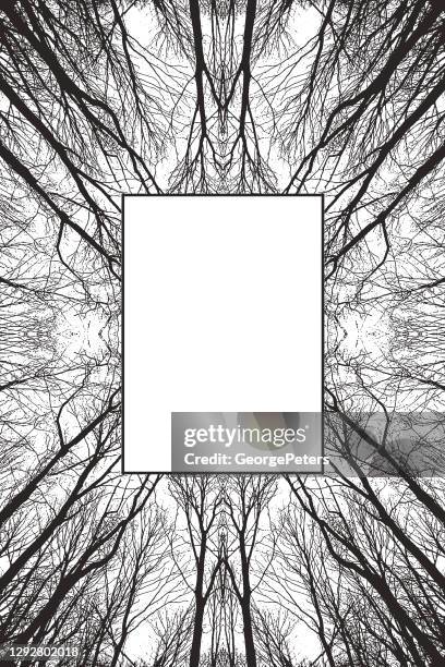 illustrations, cliparts, dessins animés et icônes de fond symétrique d’arbres avec le cadre - vue en contre plongée
