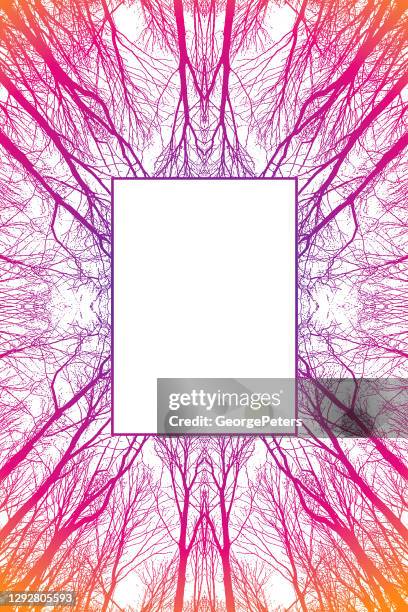 symmetrical trees background with frame - low angle view trees stock illustrations