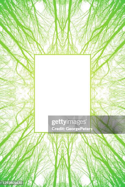 symmetrical trees background with frame - looking up stock illustrations