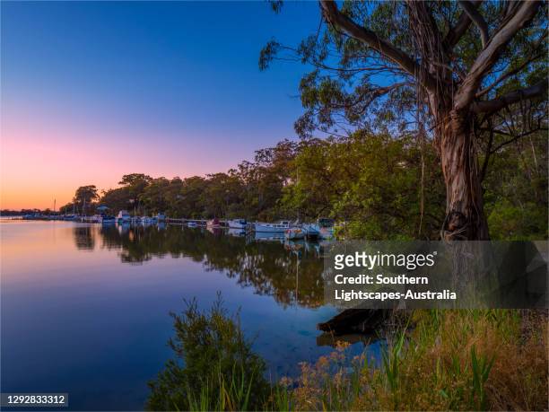 a beautiful, serene and very colourful summer dawn at chinaman's creek, metung, gippsland lakes, victoria, australia. - gippsland imagens e fotografias de stock