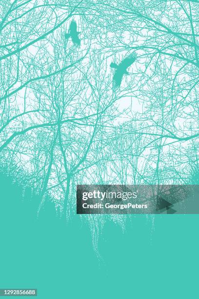 late autumn trees and raven - tree from below stock illustrations
