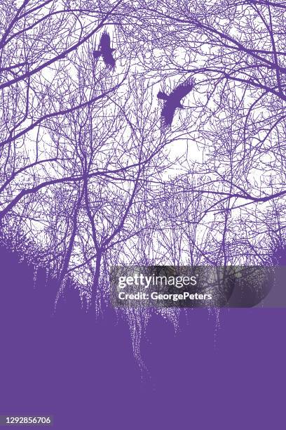 late autumn trees and raven - tangled branches stock illustrations