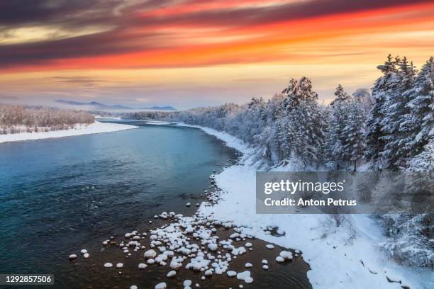 winter forest at sunset. beautiful winter landscape - finnisch lappland stock-fotos und bilder