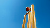 Cricket ball hitting the stumps
