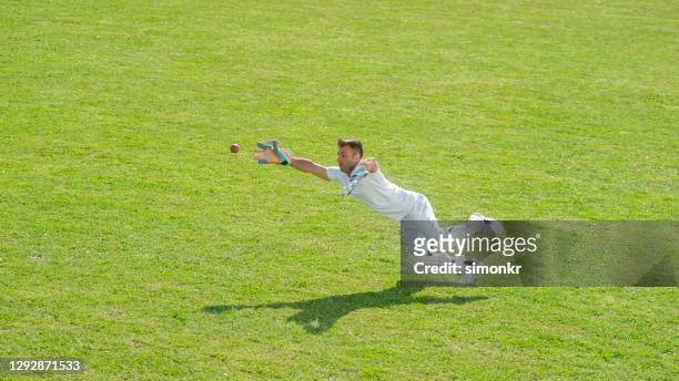 wicketkeeper diving on field - cricket catch stock pictures, royalty-free photos & images