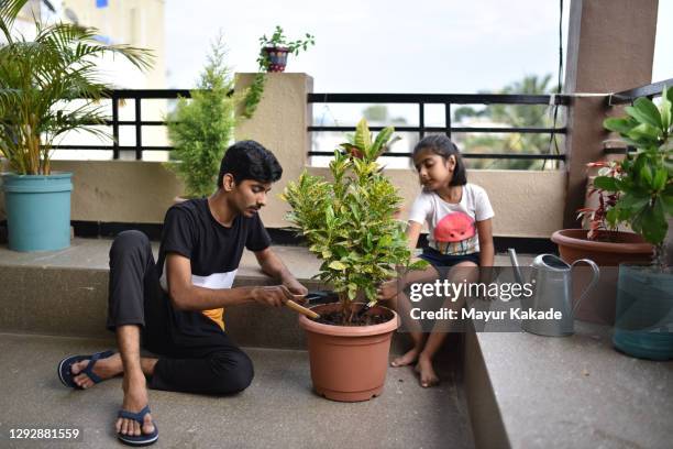 girl gardening with her brother - indian sibling stock pictures, royalty-free photos & images