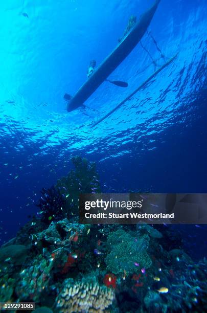 outrigger canoe, milne bay, papua new guinea - papua new guinea school stock pictures, royalty-free photos & images