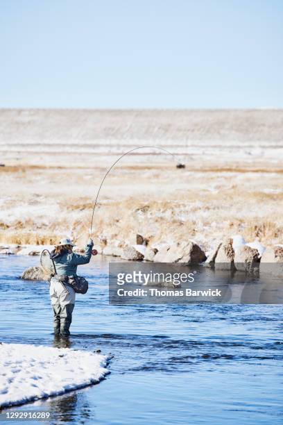 Woman with fish on while fly fishing in stream on winter morning