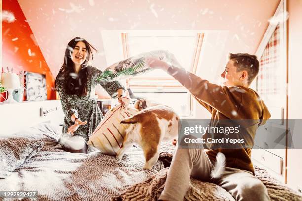 siblings having pillow fight in bedroom with dog - luta de almofada imagens e fotografias de stock
