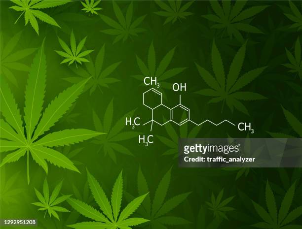marijuana leaf and thc formula - marijuana leaf stock illustrations