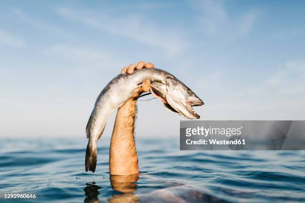 man's hand holding caught fish out of the water - catching fish foto e immagini stock