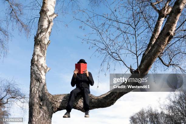 man sitting in tree reading book - unusual stock pictures, royalty-free photos & images