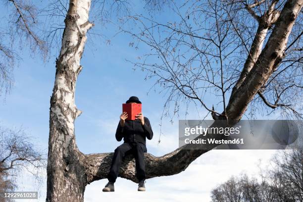 man sitting in tree reading book - unusual imagens e fotografias de stock