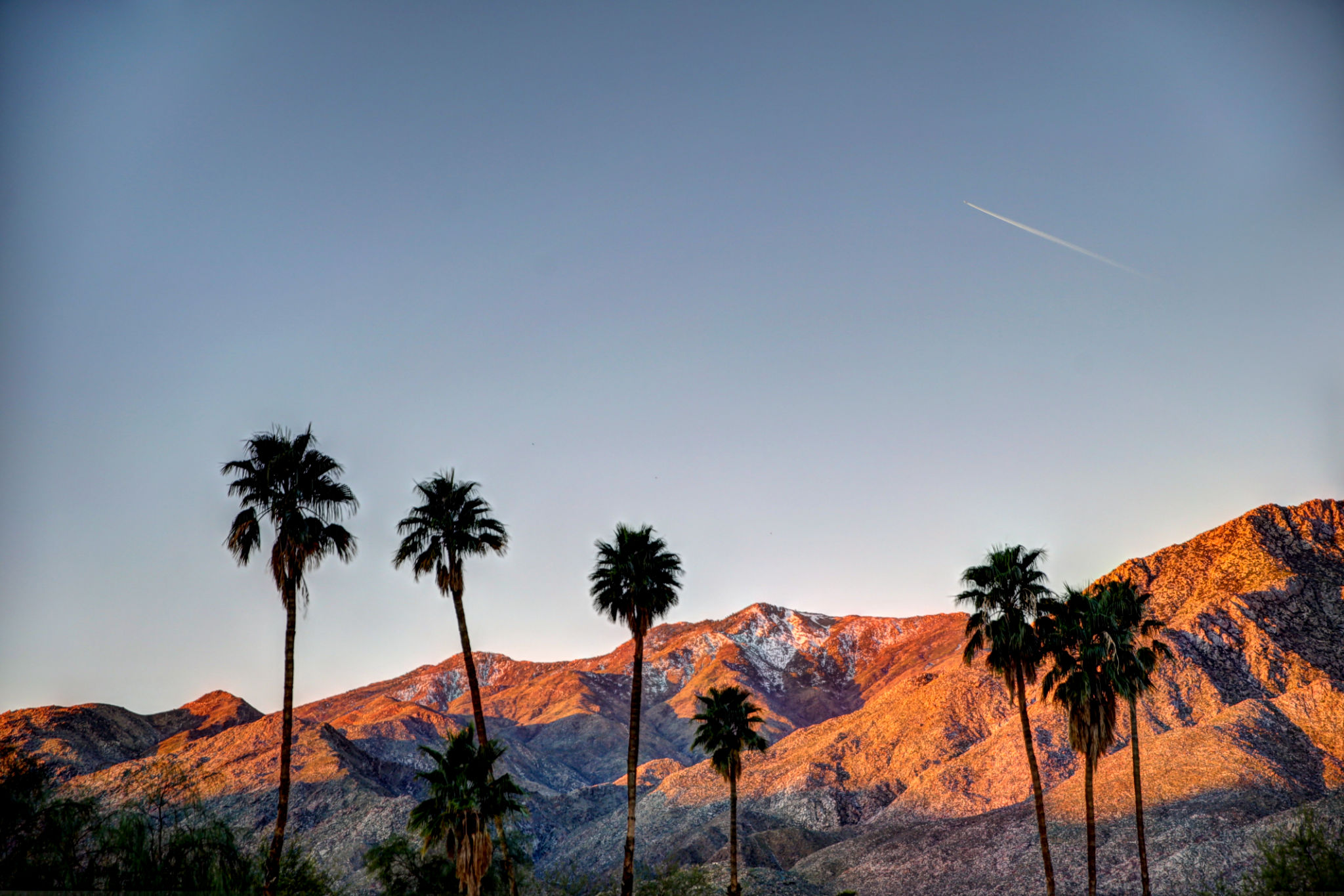 palm springs nature