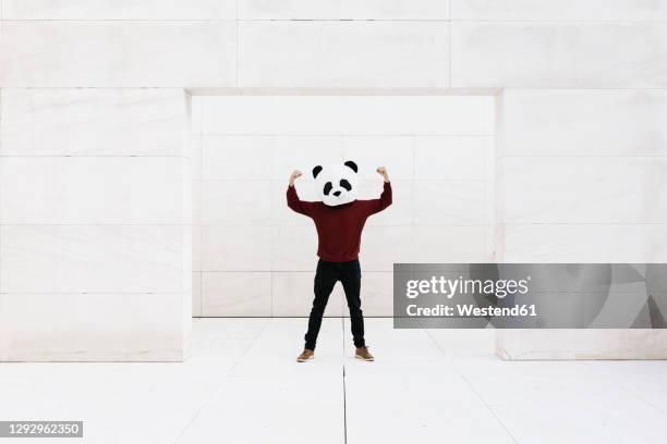 man wearing panda mask flexing muscles while standing at doorway against white wall - baby panda stock pictures, royalty-free photos & images