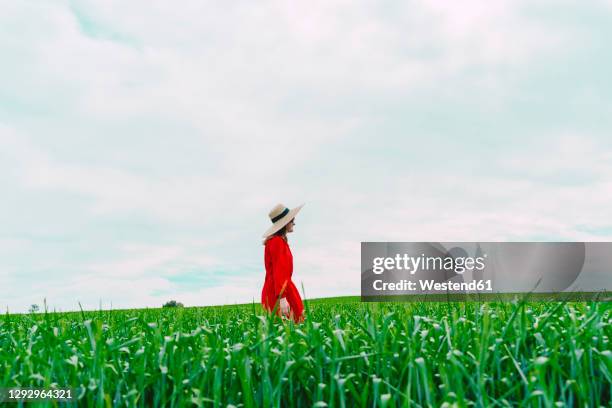 woman wearing red dress and straw hat walking on a field - red dress stockfoto's en -beelden