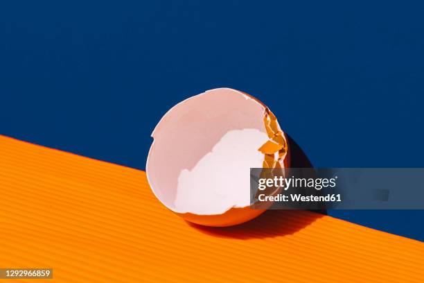 Studio Shot Of Broken Eggshell, 照片檔