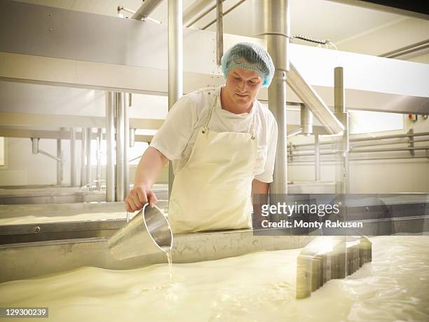 worker adding rennet to milk for cheese-making - food and drink industry fotografías e imágenes de stock