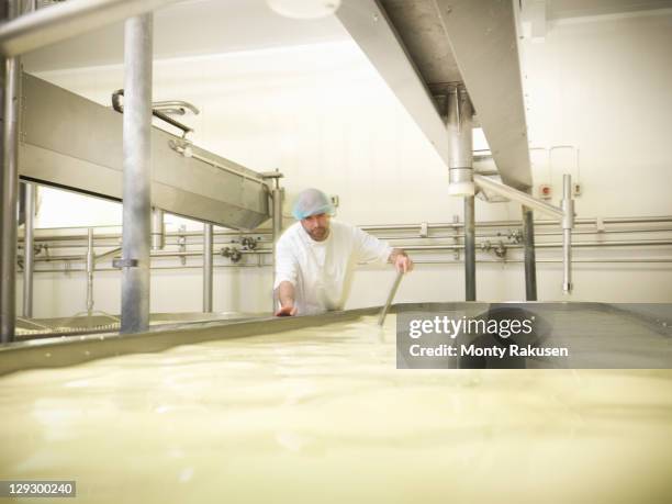 worker stirring milk for cheese-making - vat stock pictures, royalty-free photos & images