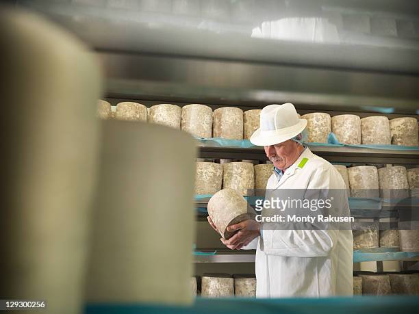 Head cheese-maker with blue cheese in cheese-making factory