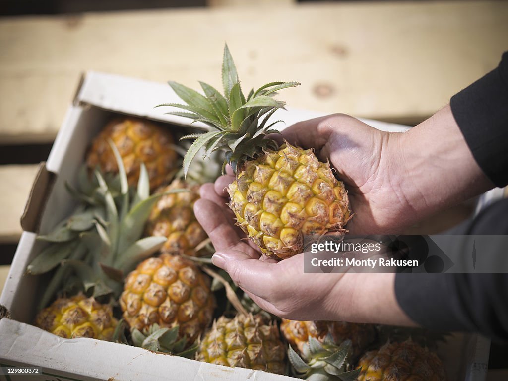 Close up of grocer holding pineapple