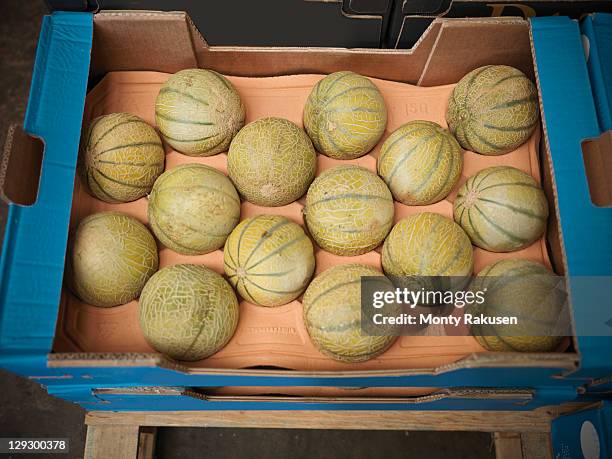 Box Ofmelon Melon In English Photos and Premium High Res Pictures - Getty Images