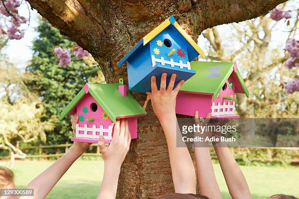 kinder hängen birdhouses in tree - vogelhäuschen stock-fotos und bilder