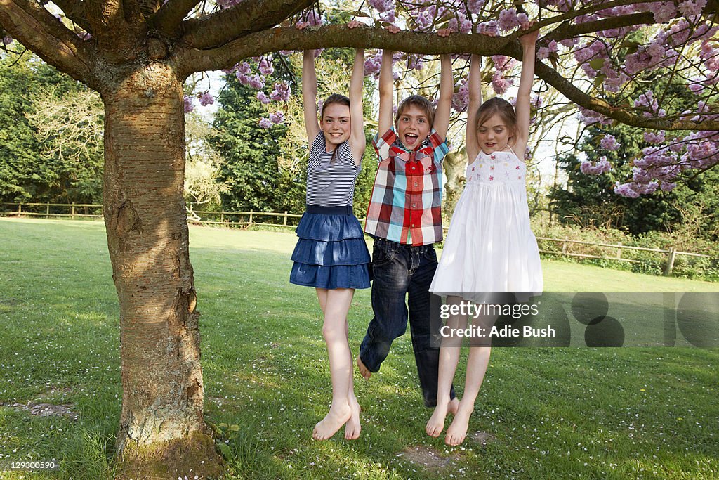 Kinder schwingen von Baum im Garten