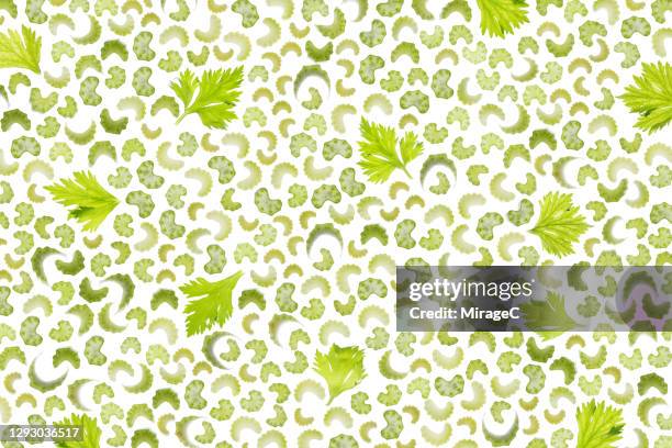 chopped celery slices back lit pattern - celery stock pictures, royalty-free photos & images