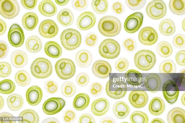 spring onion slices back lit pattern - bosui stockfoto's en -beelden