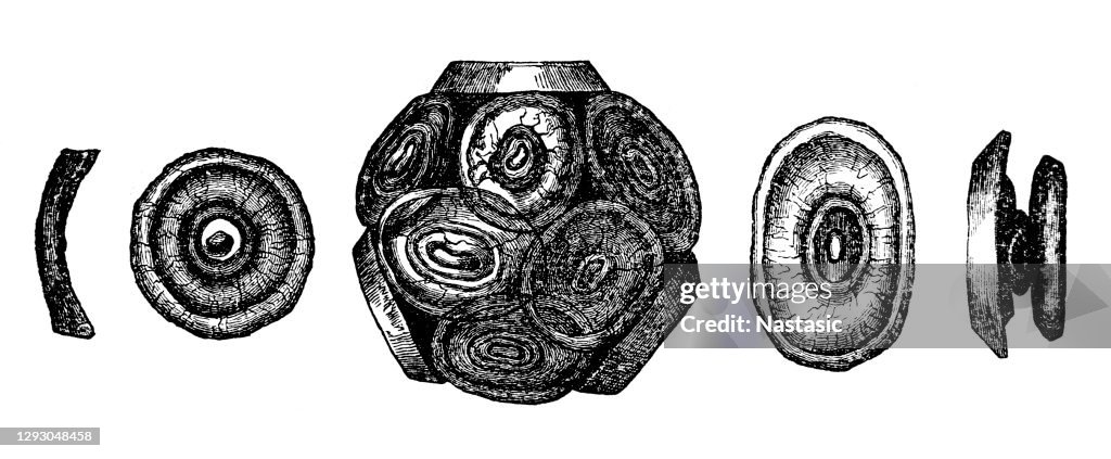 Coccoliths are the main component of the Chalk, a Late Cretaceous rock formation which outcrops widely in southern England and forms the White Cliffs of Dover