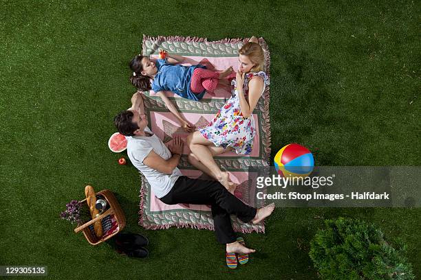 a family having a picnic in the park, overhead view - ゴムボール ストックフォトと画像