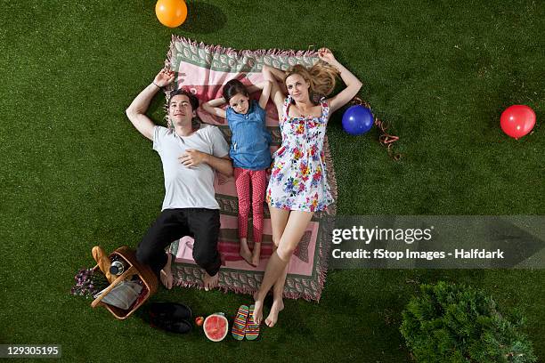 a family having a picnic in the park, overhead view - side by side foto e immagini stock