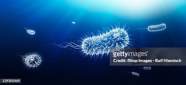 illustrazioni stock, clip art, cartoni animati e icone di tendenza di microscopic view of bacilli bacterium swimming through body - parte di una serie