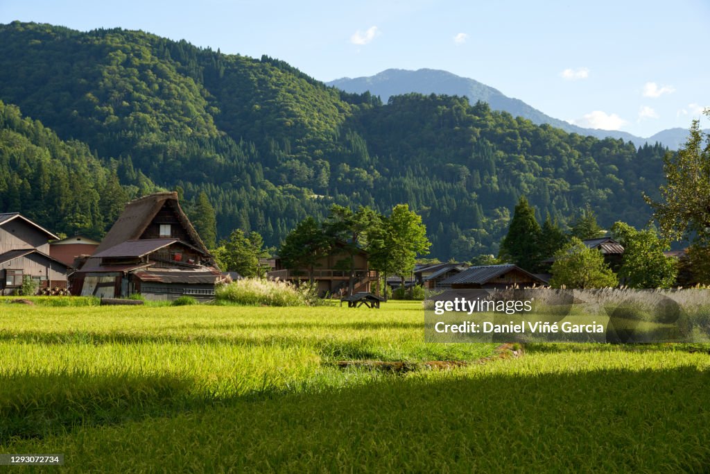 Shirakawa Go (Shirakawa-go) Beautiful Panorama of The Historic Village